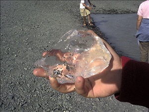071499 alaskaDSC00010.jpg